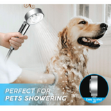 رشاشة الحمام ذو وجهين